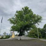 Călătorie în Tallinn: ce ne arată Estonia despre greșelile României după 1991